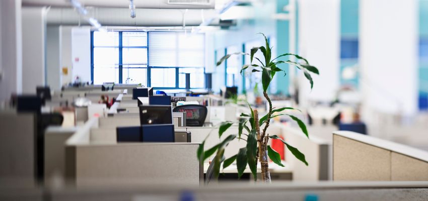 Cubicle Privacy: Smart Ways To Make Office Cubicles More Private